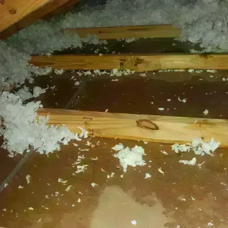 Attic Water Damage in Nuckolls County, NE